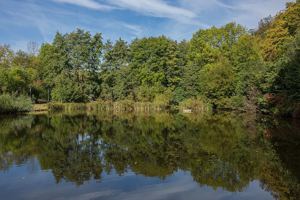 Schlossteich in Idstein 