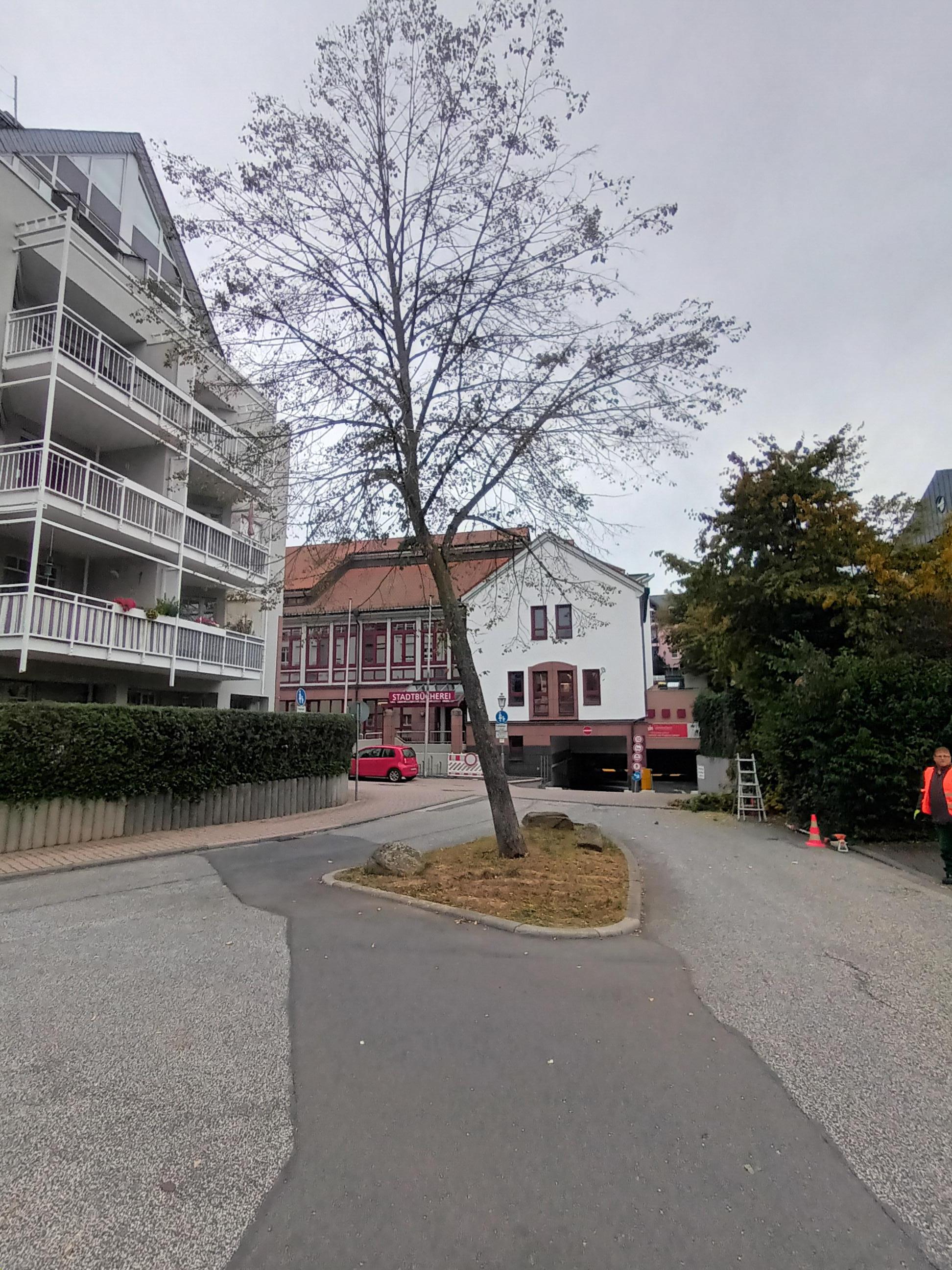 Linde vor Tiefgarage Idstein mit Bücherei im Hintergrund