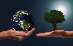 Symbolbild Klimaschutz Zwei Hände mit Weltkugel und Baum