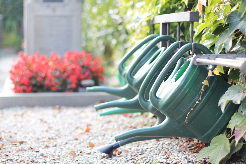 Mehrere grüne Gießkannen