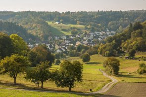 Ansicht Niederauroff Blick auf Niederauroff von Wald umgeben