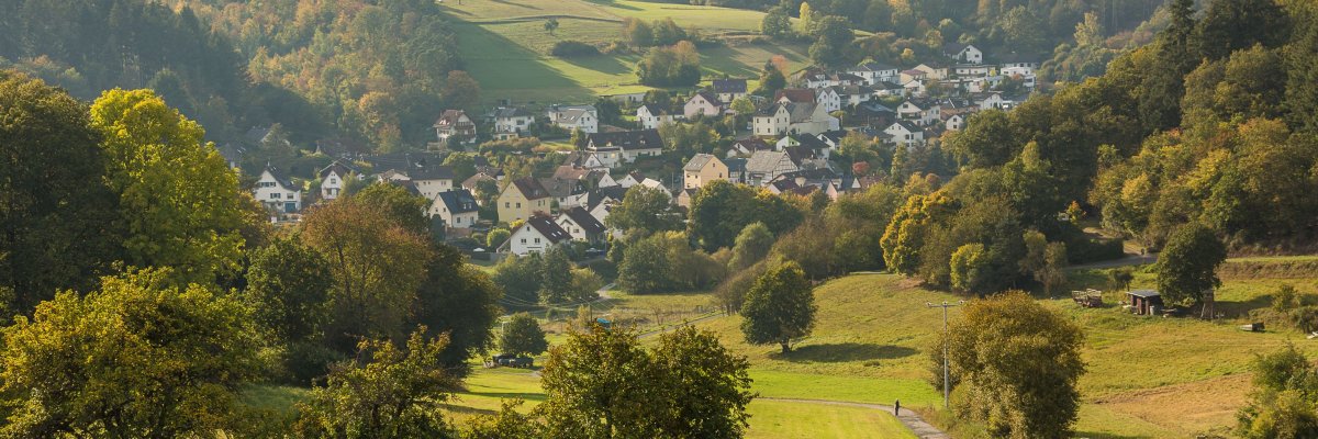 Blick auf Niederauroff von Wald umgeben
