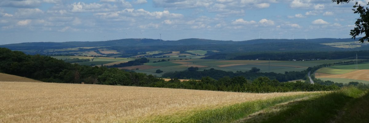 ein Feldweg