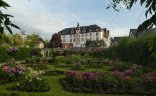 Schlossgarten mit Schloss Blühende Rosen im Schlossgarten mit Schloss im Hintergrund