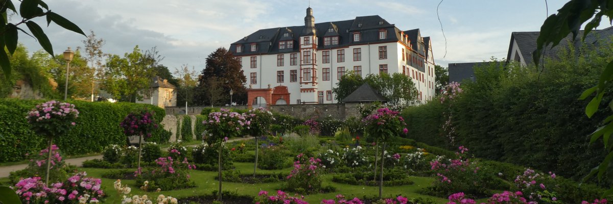 Blühende Rosen im Schlossgarten mit Schloss im Hintergrund