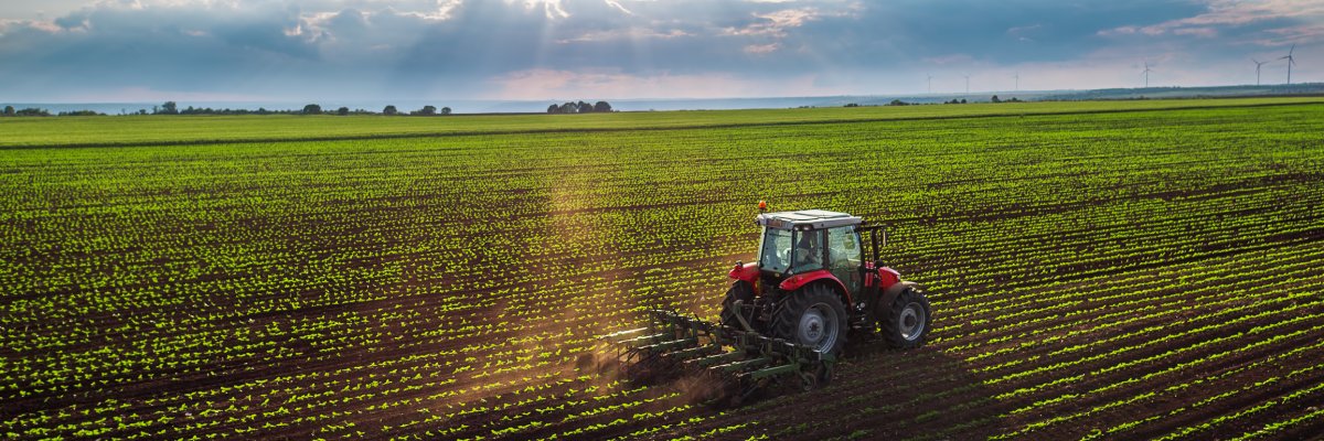 Traktor auf einem Feld im Frühling